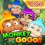 Monkey GoGo
